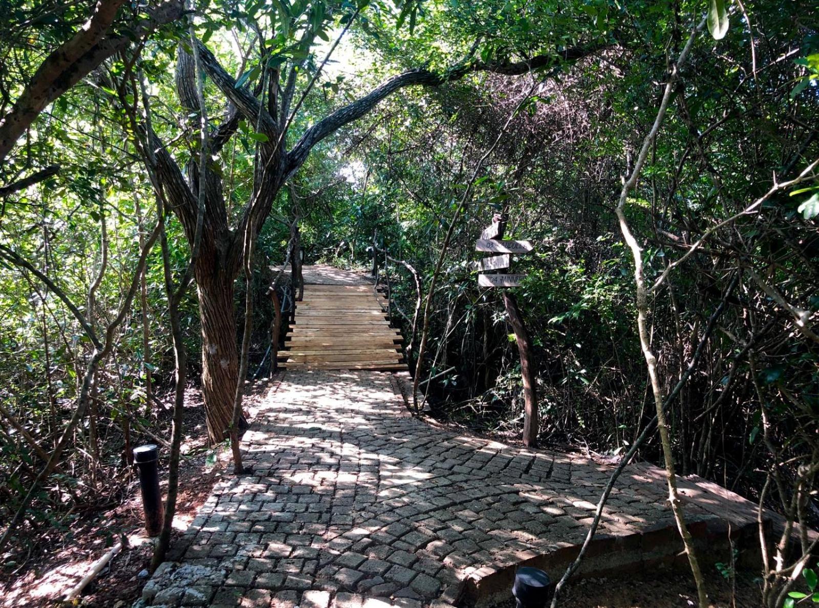 Cloud Nine Wilpattu By Aaradhya Hotel Wanathavilluwa Eksteriør billede
